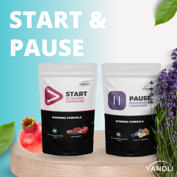 START & PAUSE new Formula